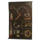 Rabbit Educational Plate