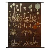 Fungus Educational Plate