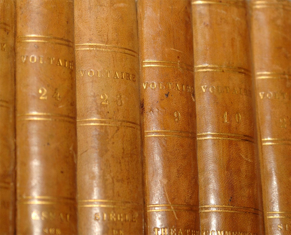The Complete Works of Voltaire 1