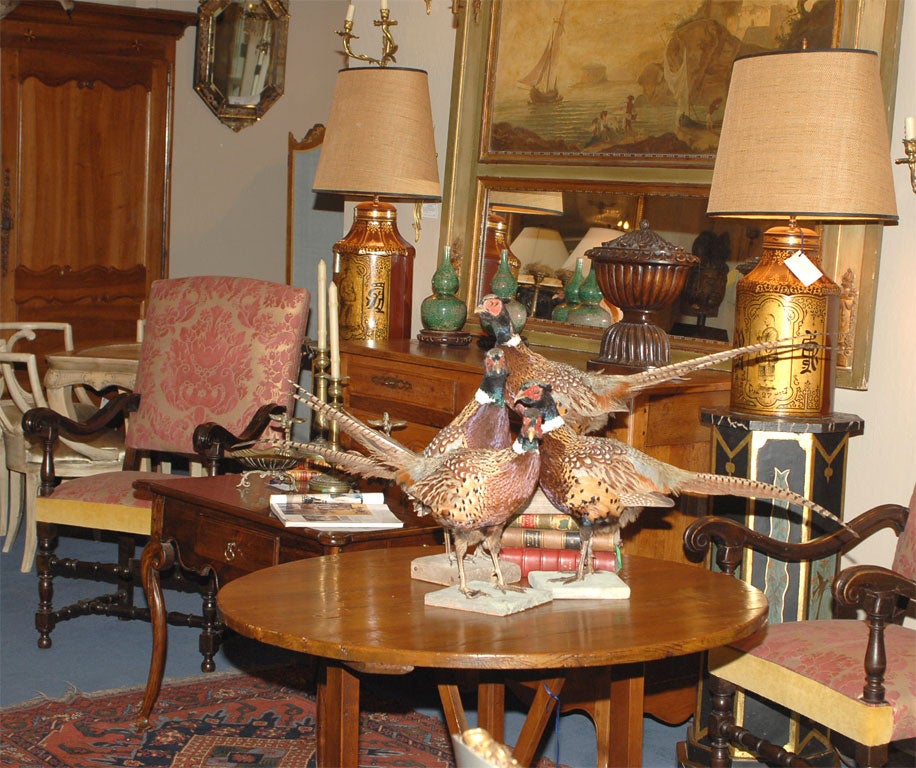Flock of Pheasants