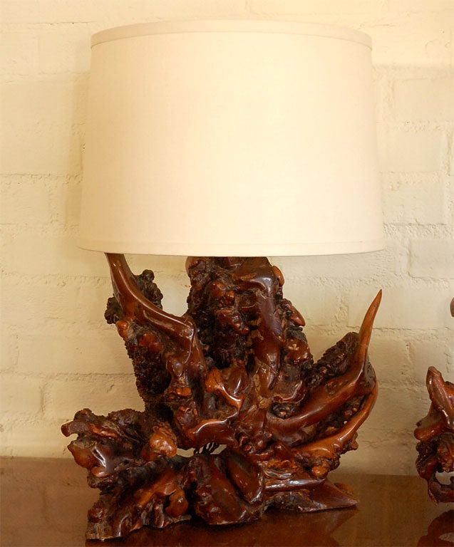 Pair of Burled Manzanita Table Lamps 5