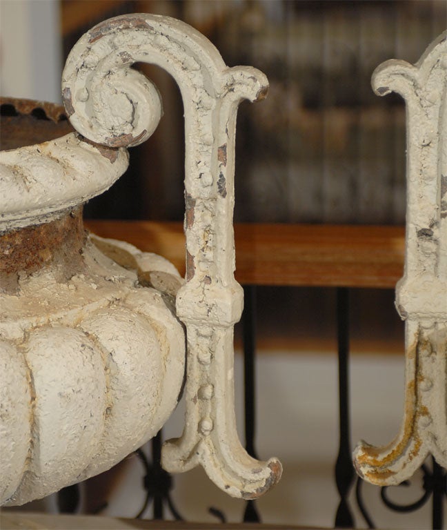 Pair of 19th Century French Painted Iron Jardinières 3