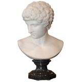 Carrara Marble Portrait Bust of Antinous Signed P. Bazzanti