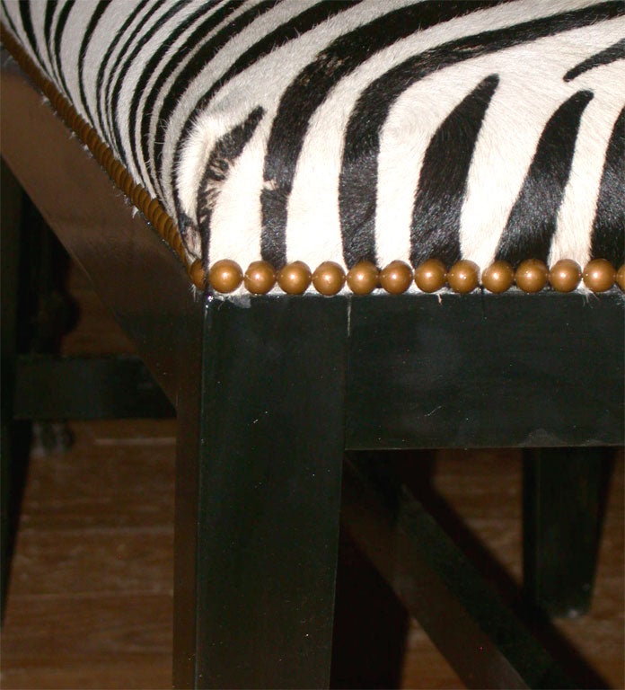 Zebra Bench with Stamped Cowhide & Ebonized Walnut 2