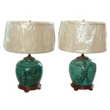 Pair lamps