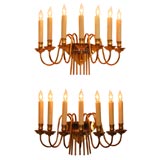 Pair of large French seven arm gilt sconces