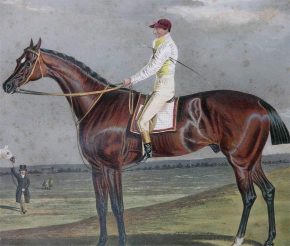 Set of Four 19th Century Equestrian Prints In Excellent Condition For Sale In New York, NY