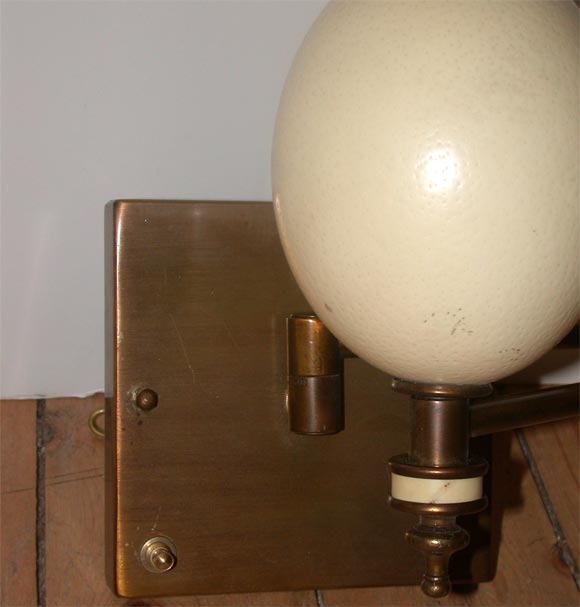 Italian Pair of Ostrich Egg Sconces