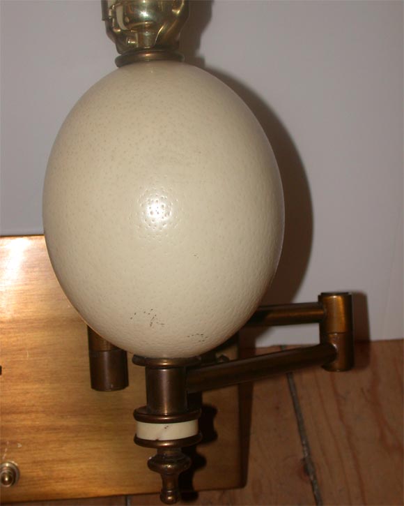 Pair of Ostrich Egg Sconces In Good Condition In Bridgehampton, NY