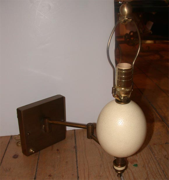 Ostrich Eggshell Pair of Ostrich Egg Sconces