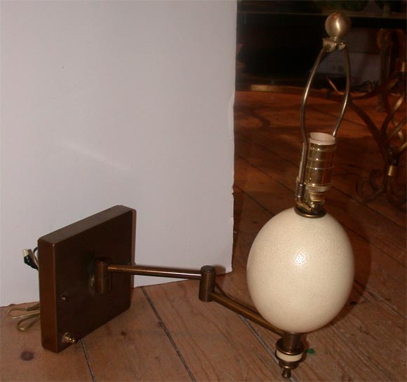 Pair of Ostrich Egg Sconces 1