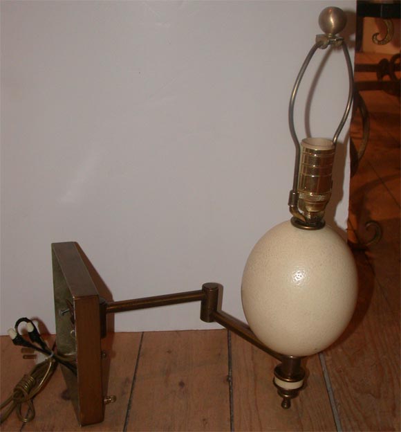 Pair of Ostrich Egg Sconces 2