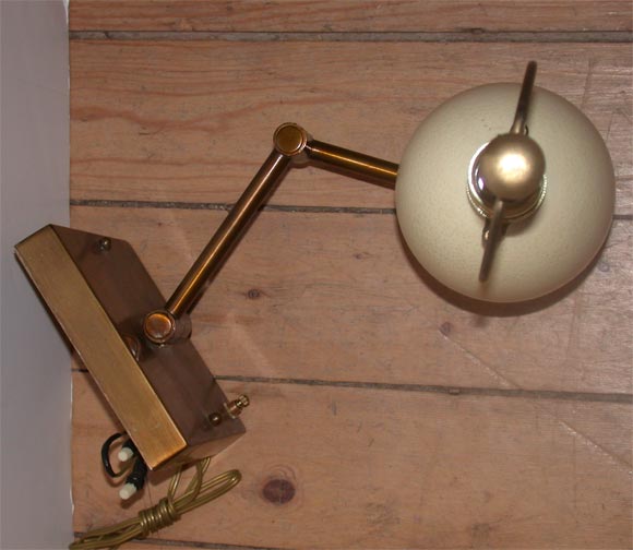 Pair of Ostrich Egg Sconces 3