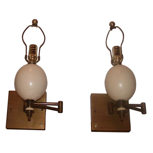 Pair of Ostrich Egg Sconces