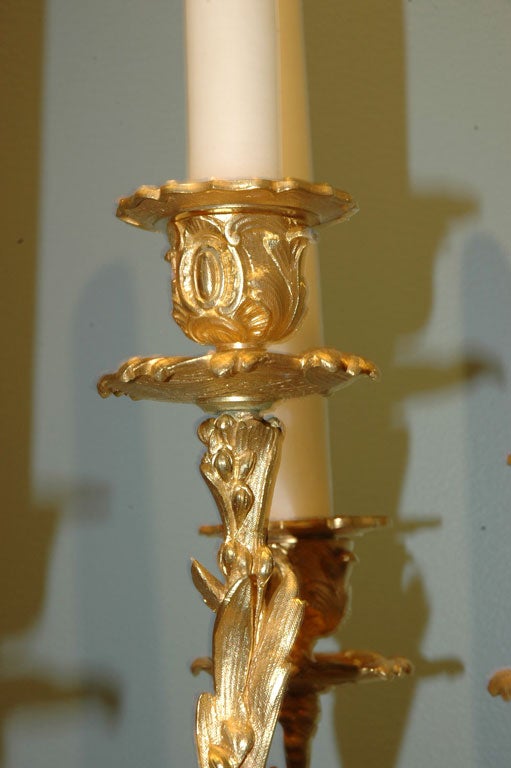 Pair of French Neoclassical Candelabra 2