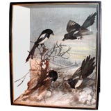 Antique 19th Century Shadowbox