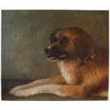 Dog with Collar Oil on Canvas