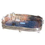 Faux Tortoise Silver Tray