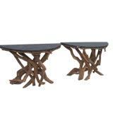 Hundred Year old Tree Root Demi Tables