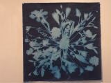 Mark Wilson Cyanotype