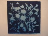 Mark Wilson Cyanotype