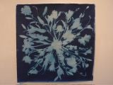 Mark Wilson Cyanotype