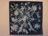Mark Wilson Cyanotype
