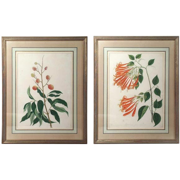 Pair of Chinese Water Colors For Sale