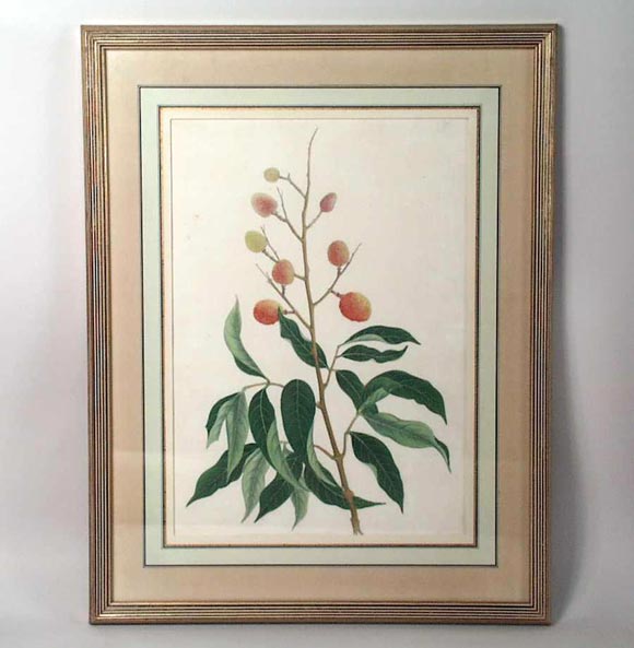 Pair of Chinese Water Colors In Excellent Condition For Sale In Long Island City, NY