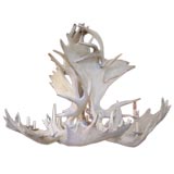 Antique Dramatic Moose                 Antler Fixture