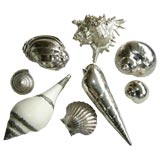 Assorted Set of Silvered Sea Shells