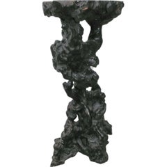 Finely Detailed Root Pedestal