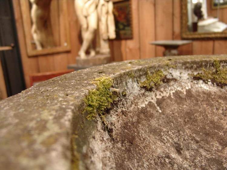 Pair  of  Stone  Urns