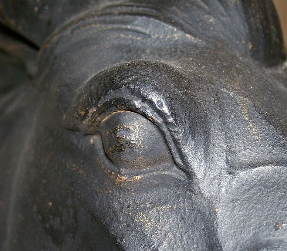 Mid-20th Century Cast Iron Horse Head