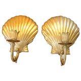 Pair of Brass Clam Shell Candle Sconces
