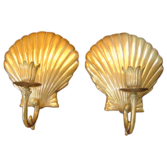 Pair of Brass Clam Shell Candle Sconces