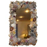 Shell Mirror