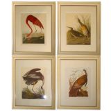 Set of four English birds  prints