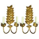 Pair Gilded Leaf Sconces