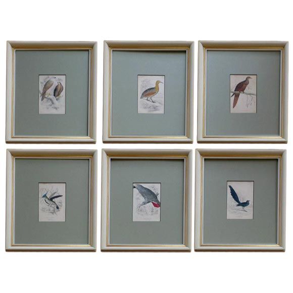 Hand Colored  Bird Engravings, circa 1890s(6individual pieces  available) For Sale