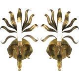 Pair Italian gilt Foliate sconces