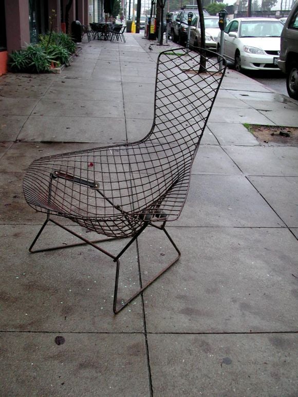 Class Bertoia Bird Chair