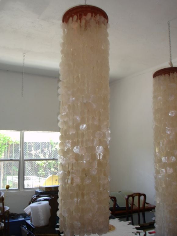 Large shell chandeliers