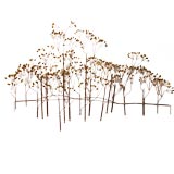 Curtis Jere "Elm" Wall Sculpture