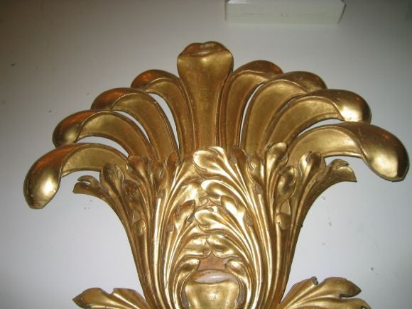 Carved and Gilded Architectural