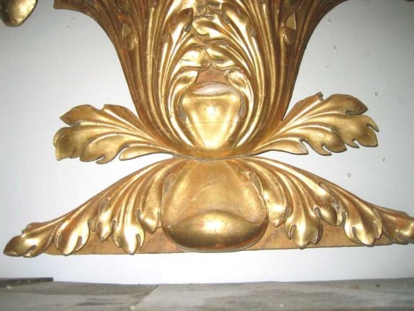 19th Century 19th c. Giltwood Architectural Element