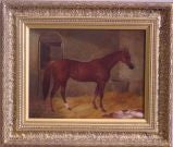 Horse Portrait