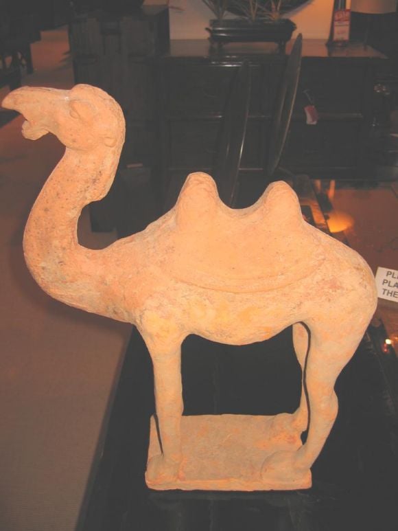 5th century Tang dynasty Bactrian camel. Unglazed, stands on four legs on a clay plinth.