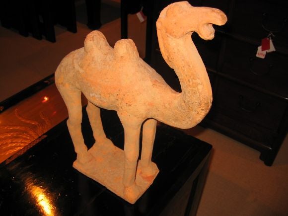 Chinese Tang Dynasty Camel For Sale