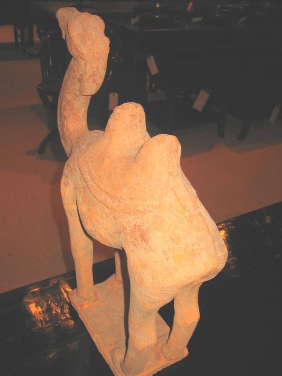 Tang Dynasty Camel In Good Condition For Sale In San Francisco, CA